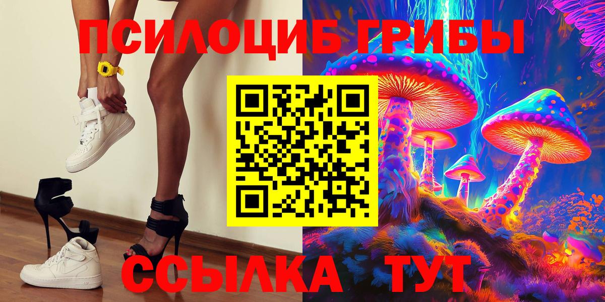 Псилоцибиновые грибы Psilocybe  Псилоцибиновые грибы Cubensis  Вход с VPN  Стерлитамак 
