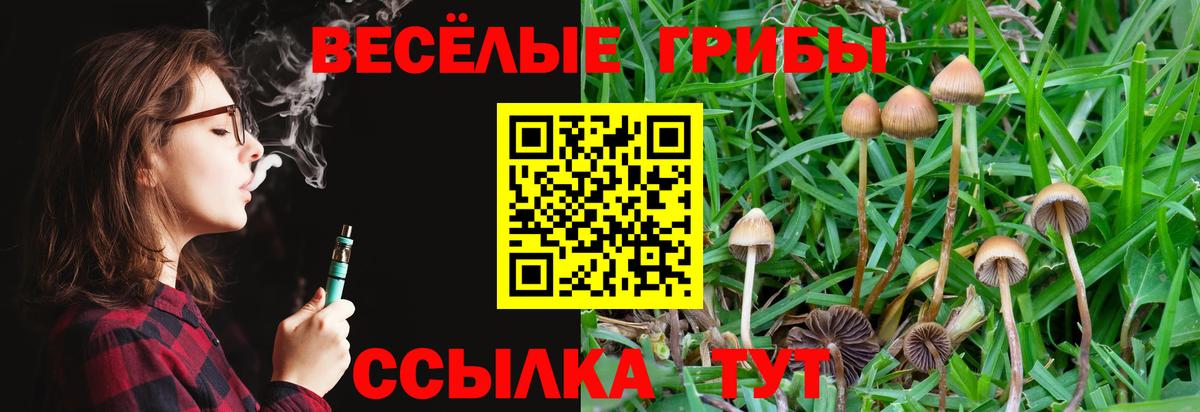 Галлюциногенные грибы Psilocybe Стерлитамак